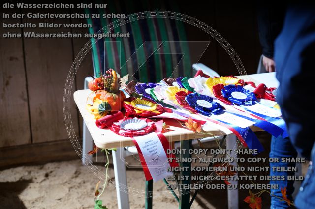 s_K3F04622.JPG